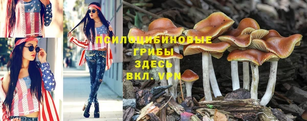spice Мегион