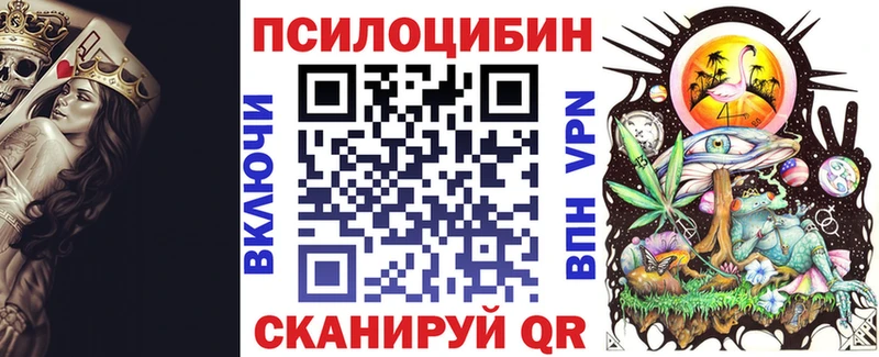 купить наркоту  ОМГ ОМГ зеркало  Галлюциногенные грибы Cubensis  Новая Усмань 